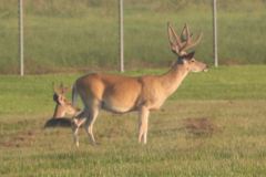 IMG_0278